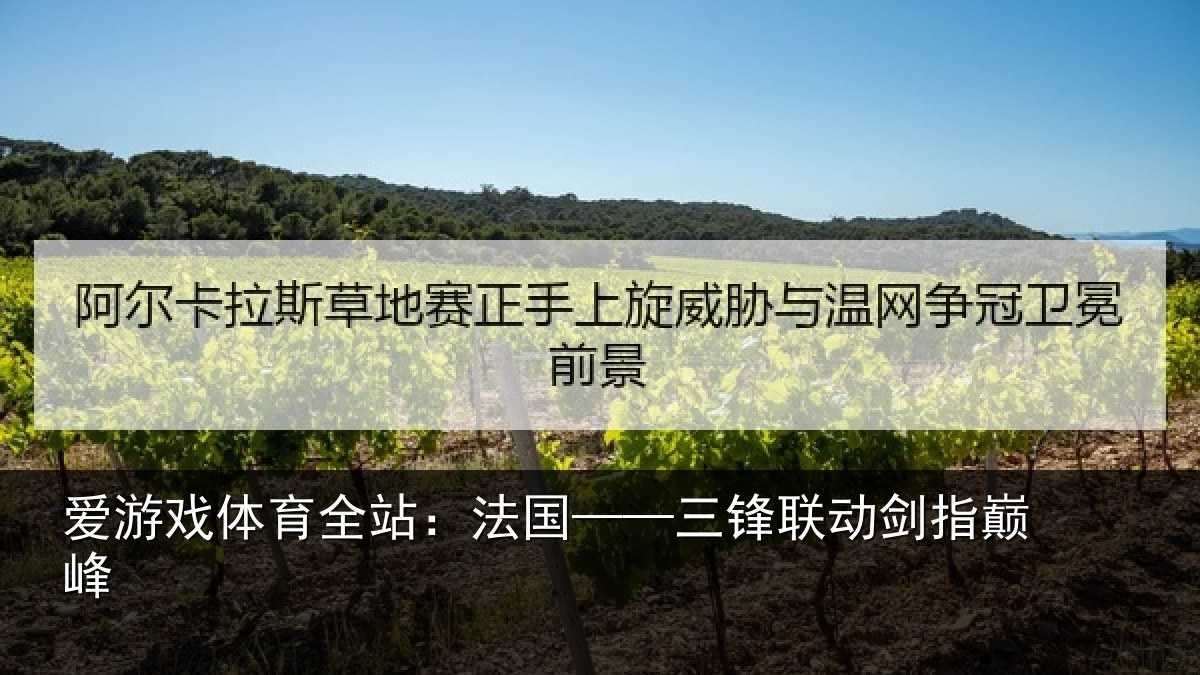 爱游戏体育全站:法国——三锋联动剑指巅峰
