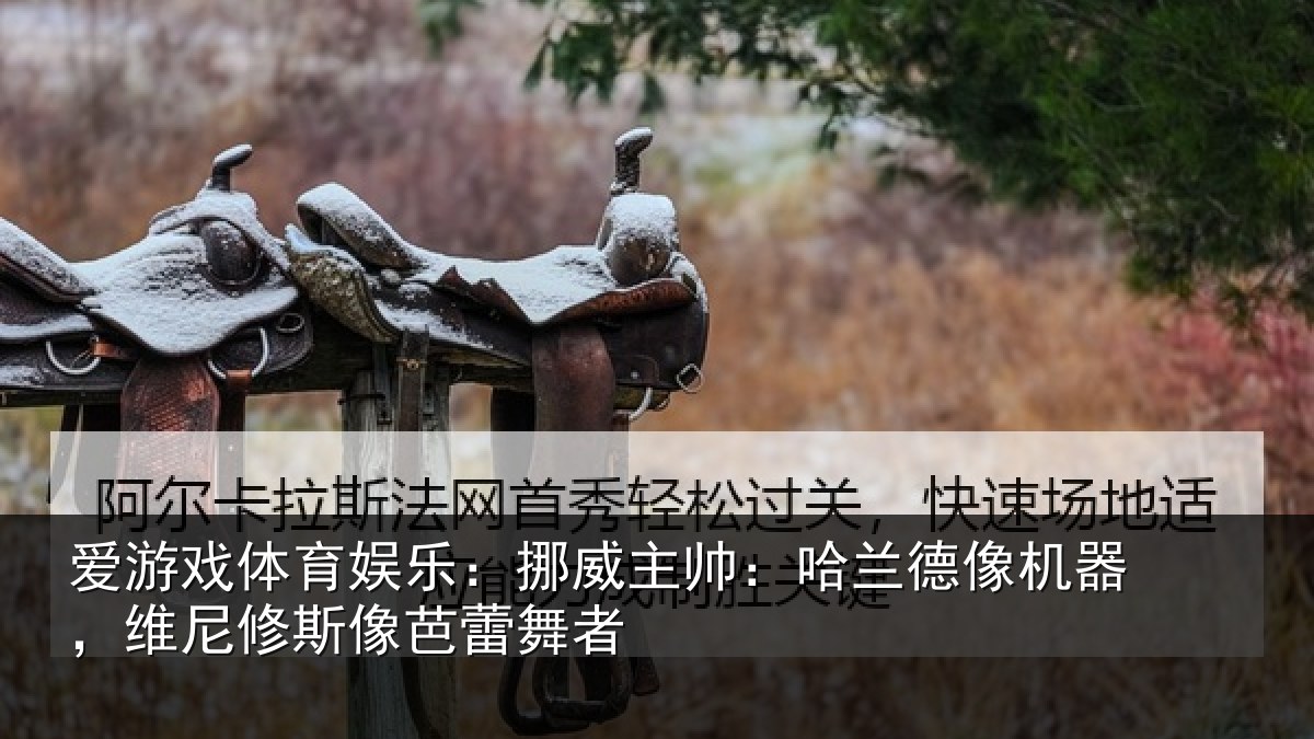爱游戏体育娱乐：挪威主帅：哈兰德像机器，维尼修斯像芭蕾舞者