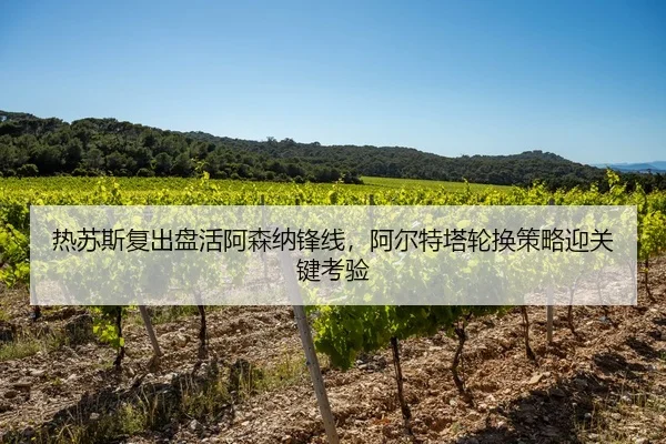 热苏斯复出盘活阿森纳锋线，阿尔特塔轮换策略迎关键考验