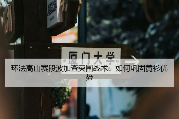 环法高山赛段波加查突围战术：如何巩固黄衫优势