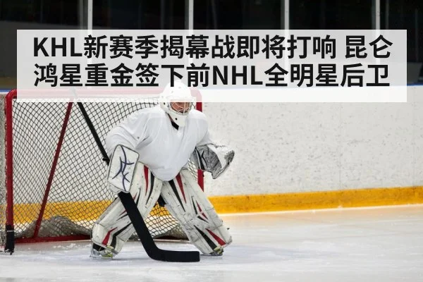 hockey defenseman