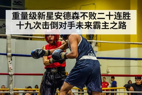 重量级新星安德森不败二十连胜十九次击倒对手未来霸主之路