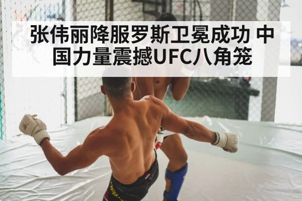 MMA fight